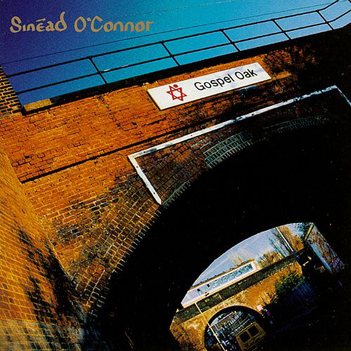 This Is a Rebel Song -  - Sinead O'Connor